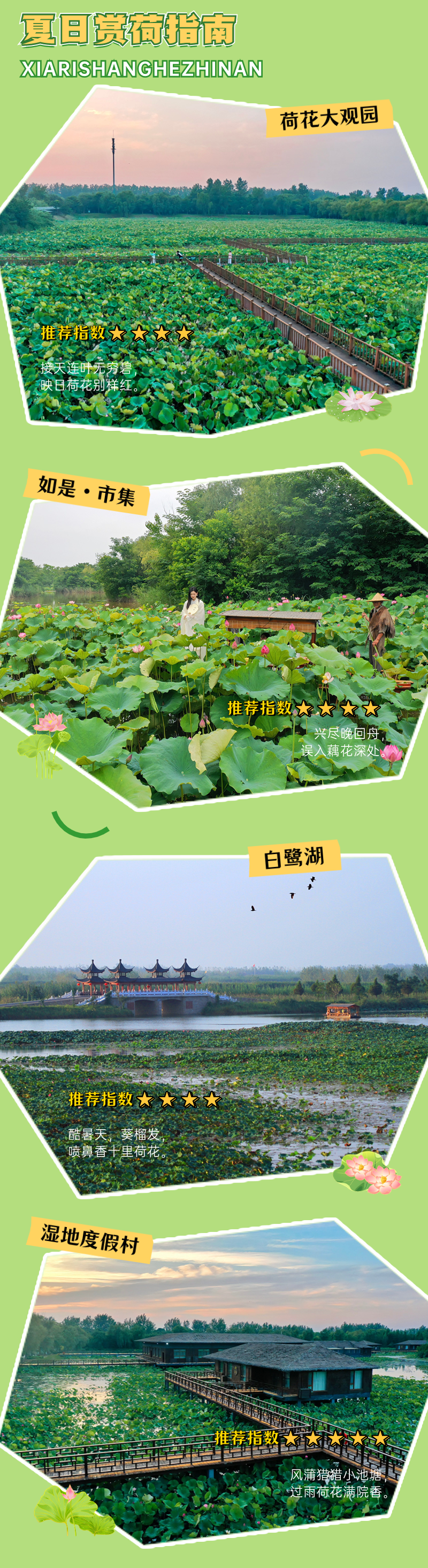 稿定设计-3.png